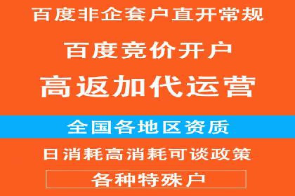百度竞价策略解析：案例分析及优化建议